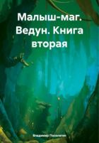 Серия книг Поселягина